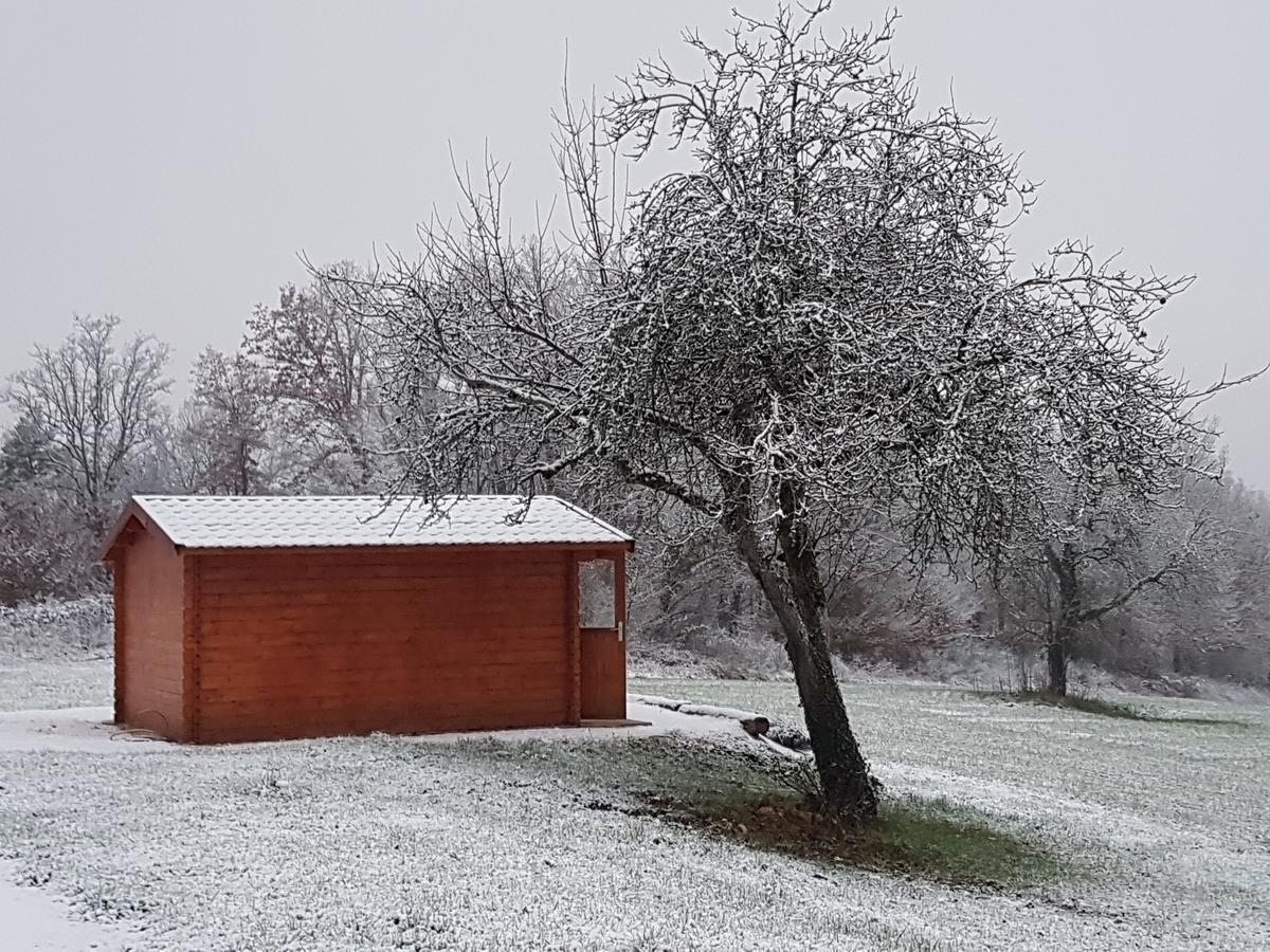 Bed and Breakfast L'Evidence La Chapelle-Aubareil Esterno foto